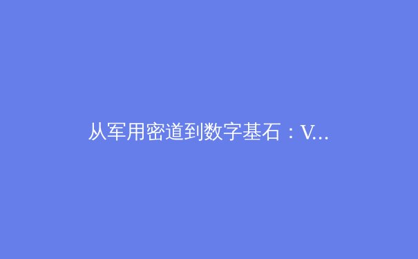从军用密道到数字基石：VPN技术演进与互联网自由的博弈史 - 2