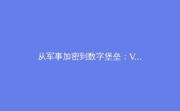 从军事加密到数字堡垒：VPN技术演进与未来挑战 - 2